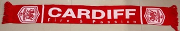 Cardiff City