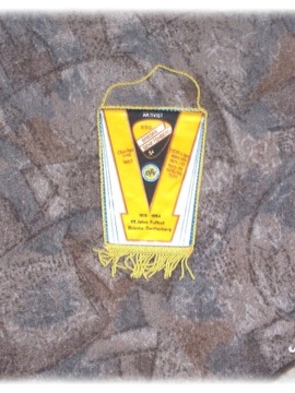 Вымпел BSG Brieske Senftenberg DDR