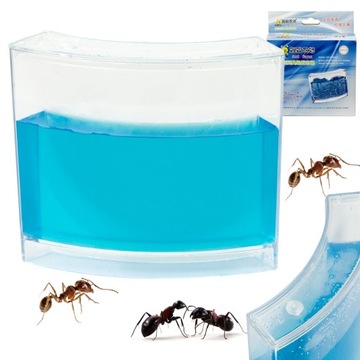 Навчальний гель-акваріум для мурах
