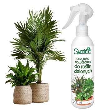 ДОБРИВО ДЛЯ РОСЛИН MONSTERY PALM FIKUSA SPRAY