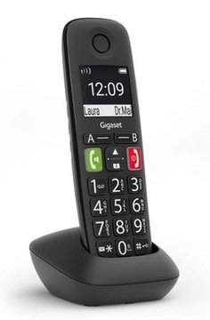 Беспроводной телефон Gigaset E290HX T16B41