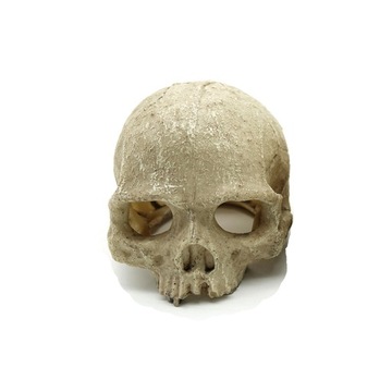 Украшение для террариума череп 11x14 см