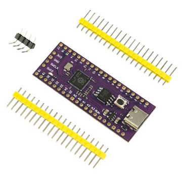 Плата микроконтроллера Rp2040 Raspberry Pi