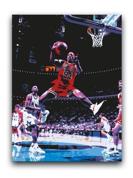 Денніс Родман - зображення 60x40 плакат Чикаго Буллз