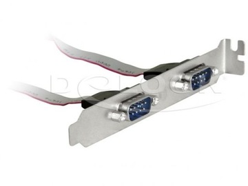 Delock follow (bracket) 2X COM