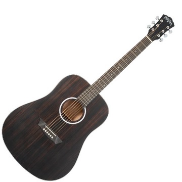 WASHBURN DF (ED) акустична гітара