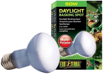 Лампа розжарювання ExoTerra Daylight Basking Spot R20 / 50W