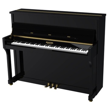акустичне піаніно Pleyel P120 чорний глянець