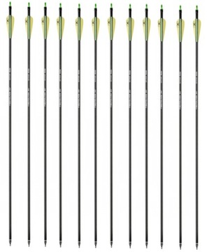 Набор из 12 стрел для лука стрельба из лука острые наконечники для завинчивания люков