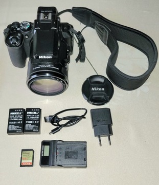 Nikon Coolpix P950 83x zoom 2000 мм + кілька доповнень