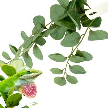 BioBush No5 искусственное тропическое растение для террариума Фитония