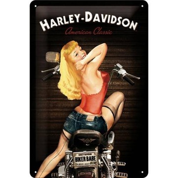 Плакат 20x30 Harley-Davidson Babe