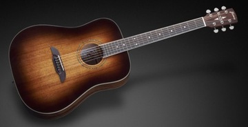 Framus FD - 14M проти акустичної гітари