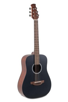 Акустическая гитара Applause Wood Classics AAT96-4S