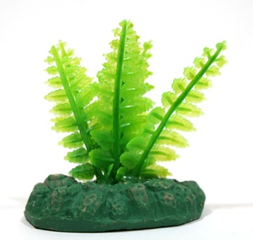 Міні-рослина 5 см NOVA 457