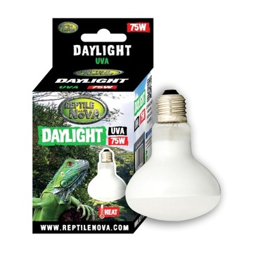 3x uva лампа розжарювання Reptile Nova Daylight 75W