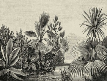 Фотошпалери тема джунглів Пальми