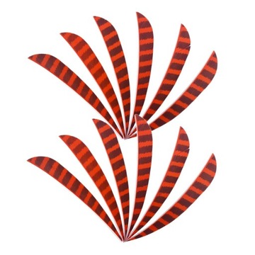 Fletchings Turkey Feather