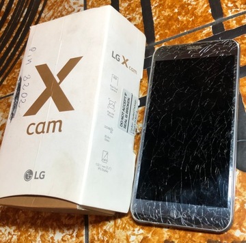 Смартфон LG X cam Titan Silver