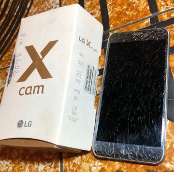 Смартфон LG X Cam Titan Silver