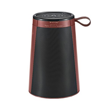 Напольный беспроводной динамик Bluetooth с FM-радио и USB / SD-ридером