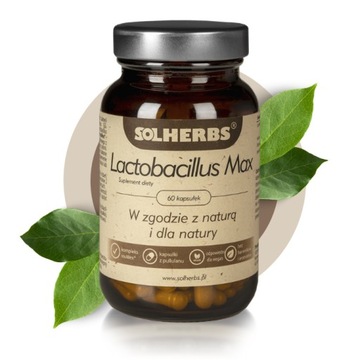 SOLHERBS Lactobacillus PROBIOTYK 6 mld, 60 kaps!