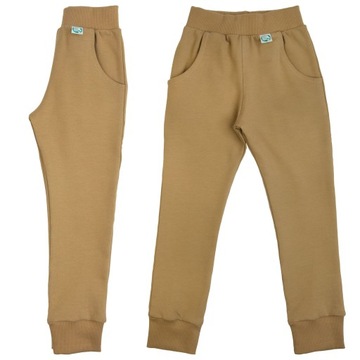 Спортивні штани SLIM Slim Camel 134