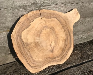 ломтик древесины грецкого ореха под смолу, отшлифованный о-21