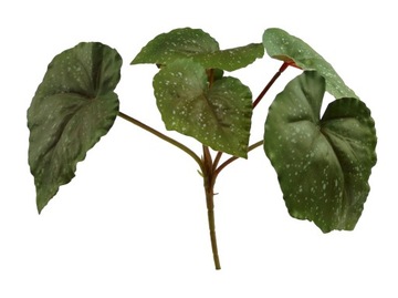 Растение цветок искусственный для террариума бегония зеленый