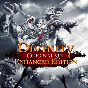 Divinity Original Sin Enhanced Edition STEAM PC