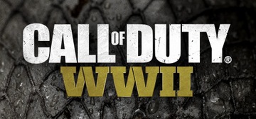 Call of Duty WWII RU Steam полная версия PC steam RU