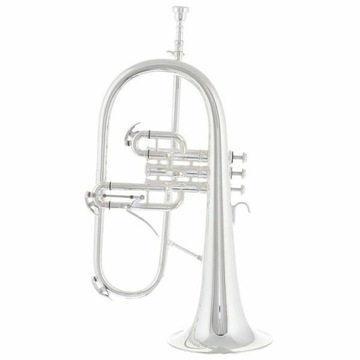 Flugelhorn Thomann FH-1000S