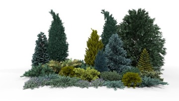 Готовий дизайн саду-срібляста вічнозелена грядка