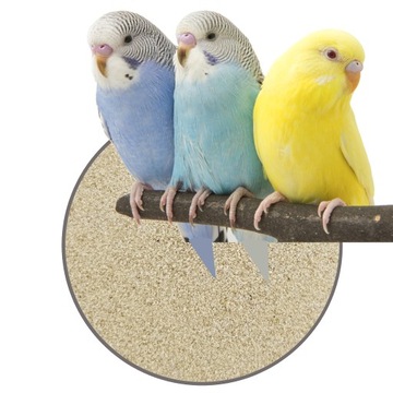 Пісок для папуг екзотичних птахів яскравий 1кг