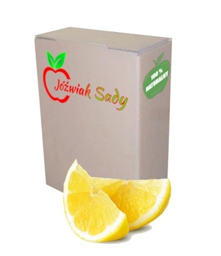 Сок лимон 100% NFC прессованный лимон 5л