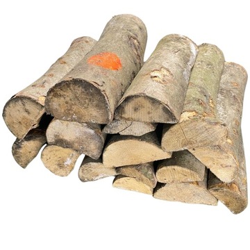 Дрова для каміна для копчення багаття барбекю дрова Бук 15 кг