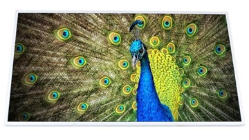 Матрица вспышки HD для ASUS A52 A52F A52J (LED)