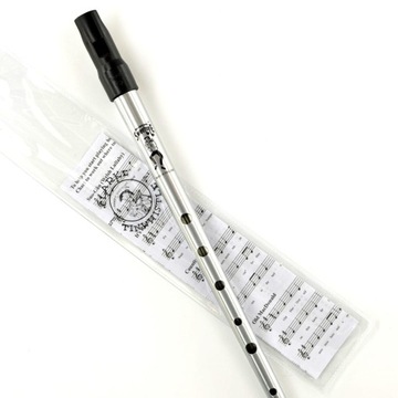Флажолет-Clarke Sweetone C Silver Pouch