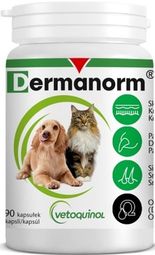 Vetoquinol Dermanorm 90 капсул для собак і кішок термін придатності 01.06.24