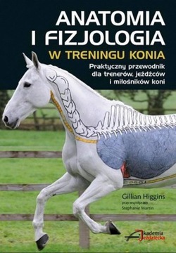 Анатомія і фізіологія в навчанні коня