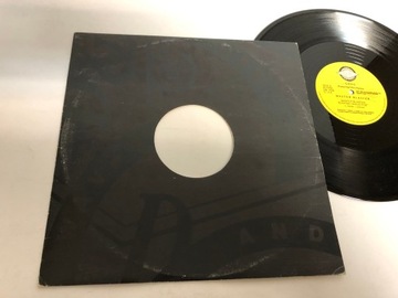 Gong-Master Blaster,,, Vinyl 3369 ITALY
