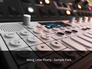 Moog Little Phatty-Sample Pack (WAV, АиФ)