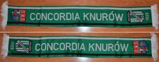 Шарф Конкордия Кабанов