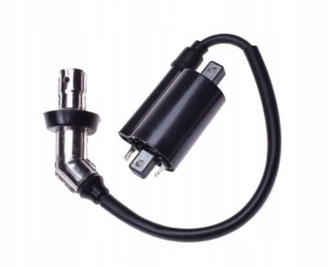 SPULE ZÜNDUNG DO SHINERAY ATV 300 STE