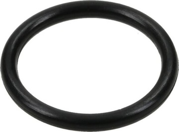 O-ring, Case-Steyr 9992298