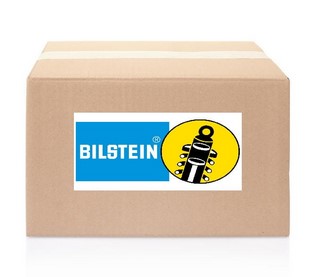 ПРУЖИНА ПІДВІСКА, BILSTEIN - B3 OE BILSTEIN 36-201617