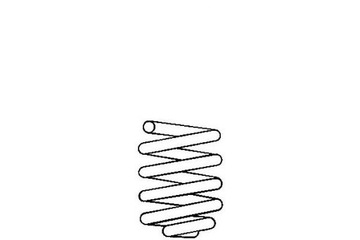 ПРУЖИНА ZAW. RENAULT P. CLIO 1.8 16V DO 06- 94