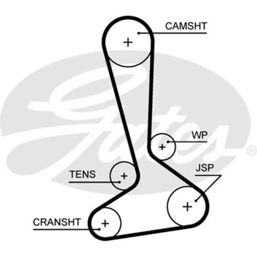 РЕМЕНЬ ГРМ GATES 5645XS