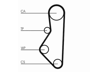 CONTINENTAL CTAM РЕМЕНЬ ГРМ MAZDA 626 1.6 106