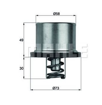 ТЕРМОСТАТ MAHLE THD179 BMW M5 E60 / M3 E90